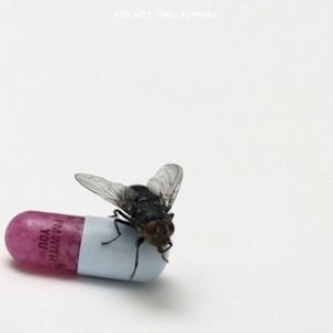 I'm with You - Red Hot Chili Peppers - Music - WARNER BROS - 0093624954798 - August 25, 2011