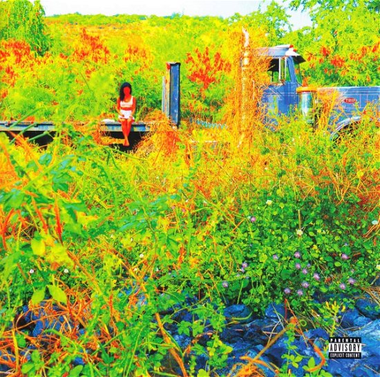 Cover for Jhene Aiko · Trip (CD) (2018)