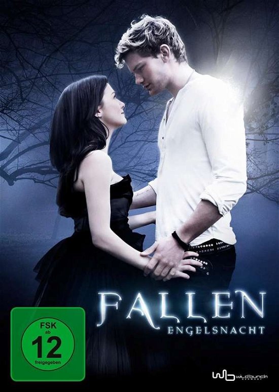 Cover for Fallen-engelsnacht (DVD) (2017)