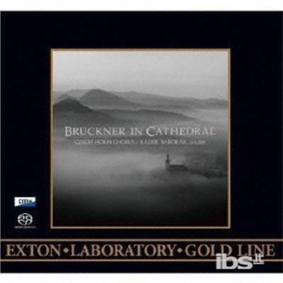 Cover for Radek Baborak · Bruckner in Cathedral (CD) [Japan Import edition] (2013)