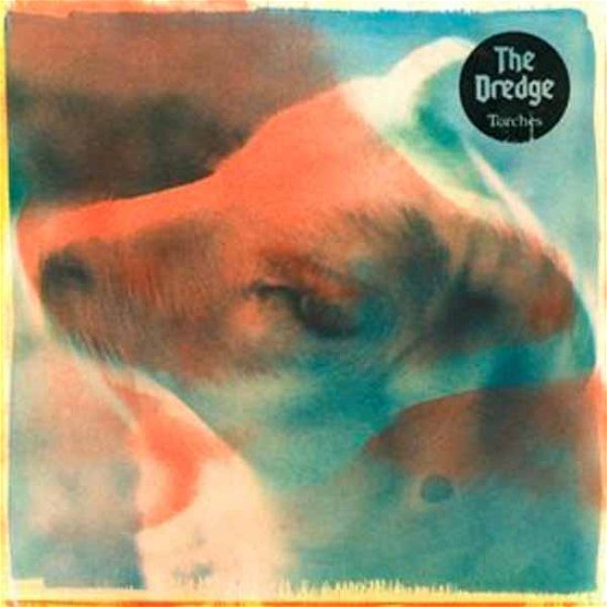 The Dredge · Torches (CD) (2024)