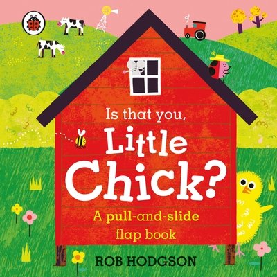 Cover for Ladybird · Is that you, Little Chick?: A pull-and-slide flap book (Kartongbok) (2021)