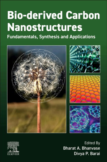 Cover for Bio-derived Carbon Nanostructures: Fundamentals, Synthesis and Applications (Paperback Book) (2024)