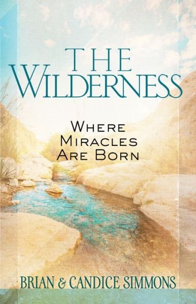 Cover for Brian Dr Simmons · The Wilderness: Where Miracles are Born (Paperback Bog) (2017)