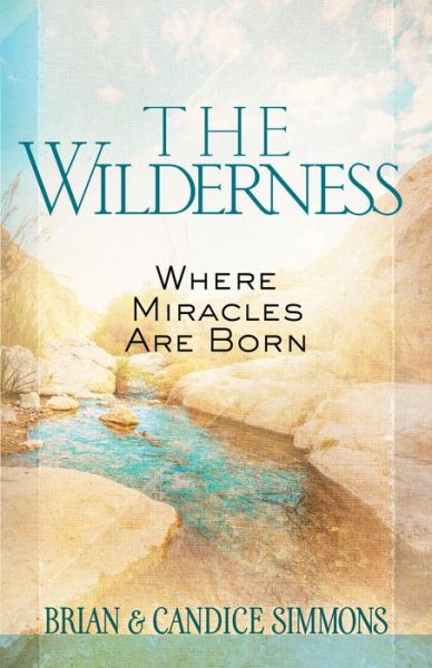 The Wilderness: Where Miracles are Born - Brian Dr Simmons - Książki - BroadStreet Publishing - 9781424551798 - 2017