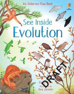 See Inside Evolution - See Inside - Emily Bone - Kirjat - Usborne Publishing Ltd - 9781474952798 - torstai 8. heinäkuuta 2021