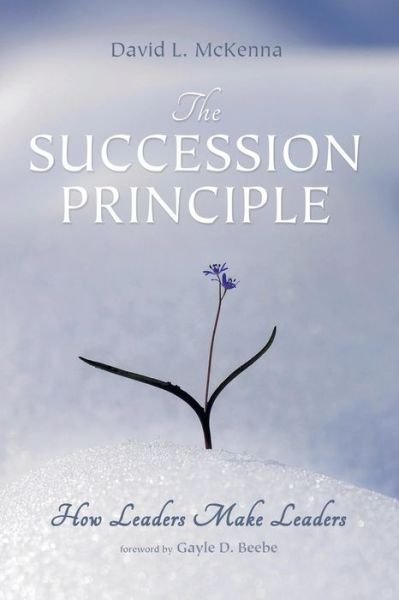 Cover for David L Mckenna · The Succession Principle (Paperback Book) (2014)