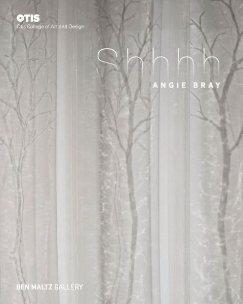 Cover for Meg Linton · Angie Bray: Shhhh (Paperback Book) (2015)