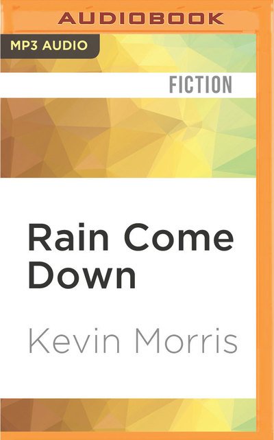 Rain Come Down - Minnie Driver - Musik - AUDIBLE STUDIOS ON BRILLIANCE - 9781522657798 - 24. Mai 2016