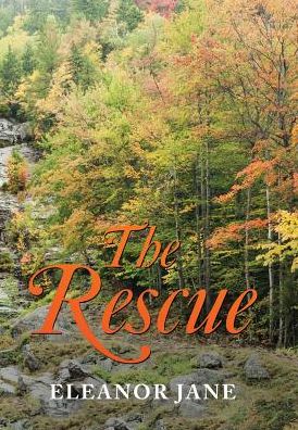 Cover for Eleanor Jane · The Rescue (Hardcover Book) (2017)