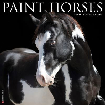 Paint Horses 2024 12 X 12 Wall Calendar - Willow Creek Press - Gadżety - Willow Creek Press - 9781549234798 - 1 sierpnia 2023