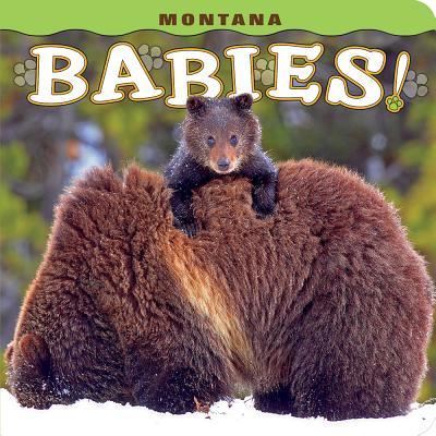 Cover for Steph Lehmann · Montana Babies! (Hardcover Book) (2016)