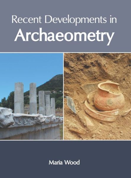 Cover for Maria Wood · Recent Developments in Archaeometry (Book) (2022)