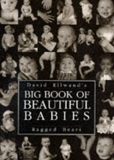 Cover for David Ellwand · Big Book of Beautiful Babies (Gebundenes Buch) (1998)