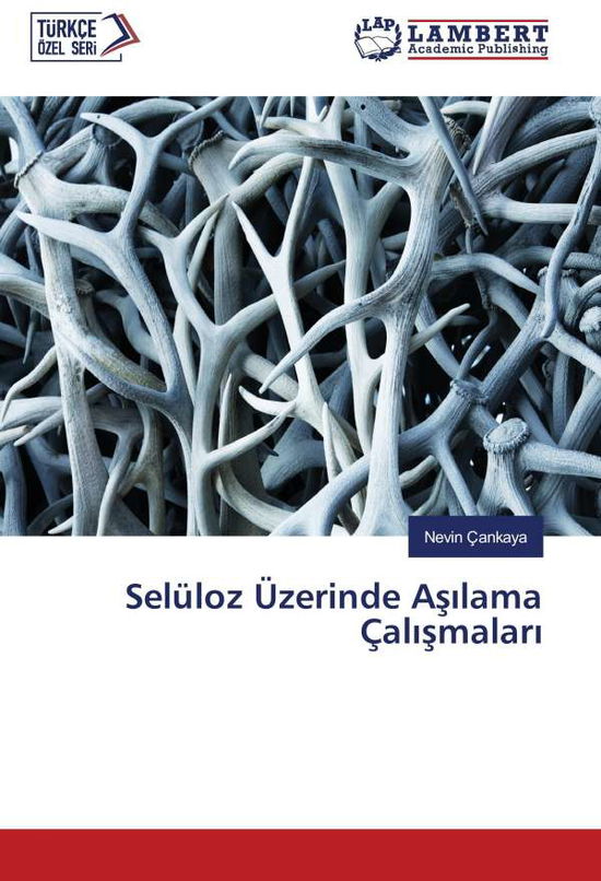 Cover for Çankaya · Selüloz Üzerinde As lama Çal sm (Book)