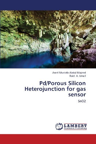 Cover for Raid A. Ismail · Pd/porous Silicon Heterojunction for Gas Sensor: Sno2 (Paperback Book) (2013)