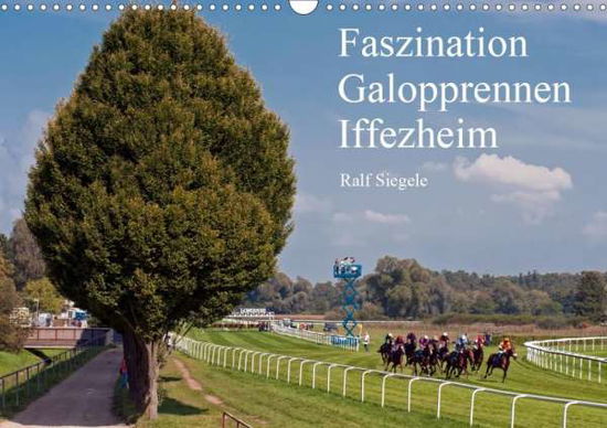 Cover for Siegele · Faszination Galopprennen Iffezh (Book)