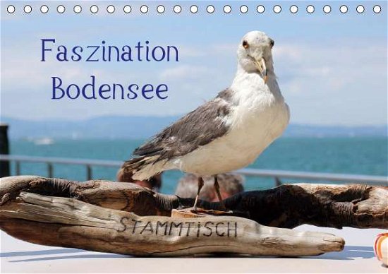 Cover for Raab · Faszination Bodensee (Tischkalende (Book)