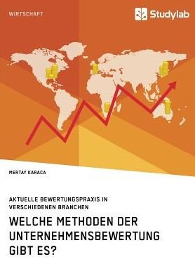 Cover for Mertay Karaca · Welche Methoden der Unternehmensbewertung gibt es? Aktuelle Bewertungspraxis in verschiedenen Branchen (Paperback Book) (2019)