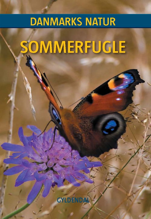 Gads håndbog om sommerfugle - Lars Trolle - Books - Gyldendal - 9788712040798 - August 20, 2003