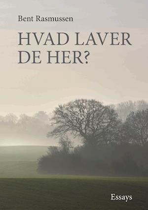 Hvad laver De her? - Bent Rasmussen - Bøger - Kahrius - 9788771533798 - 21. juli 2021