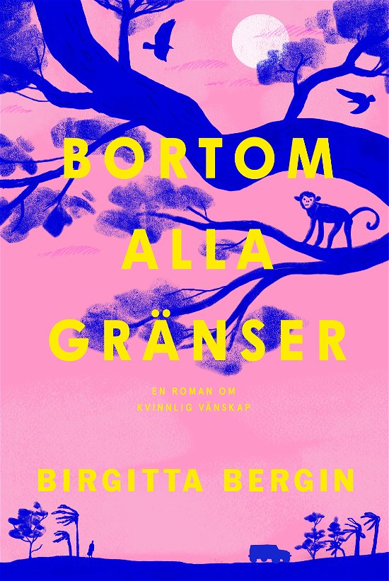 Cover for Birgitta Bergin · Bortom alla gränser (Bound Book) (2024)