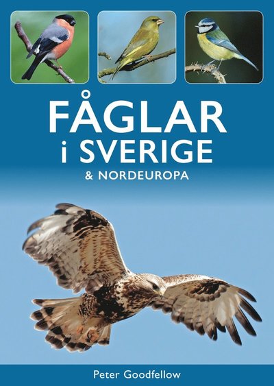 Cover for Peter Goodfellow · Fåglar i Sverige &amp; Nordeuropa (Paperback Book) (2025)