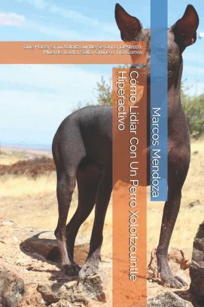 Cover for Marcos Mendoza · Como Lidiar Con Un Perro Xoloitzcuintle Hiperactivo (Taschenbuch) (2021)
