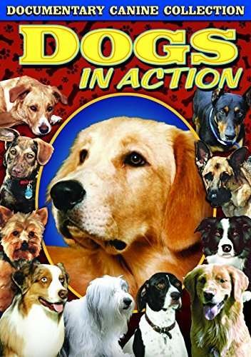 Cover for Dogs in Action (DVD) (2014)