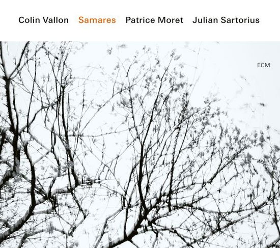 Vallon,colin / Moret,patrice / Sartorius,julian · Samares (CD) (2024)