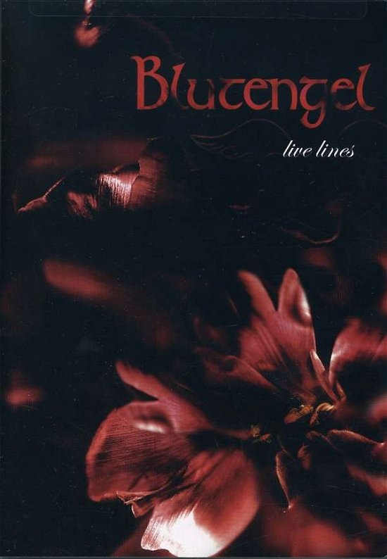 Cover for Blutengel · Live Lines (DVD) (2005)