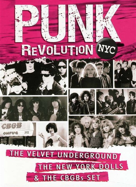 Cover for Punk Revolution Nyc (DVD) (2011)