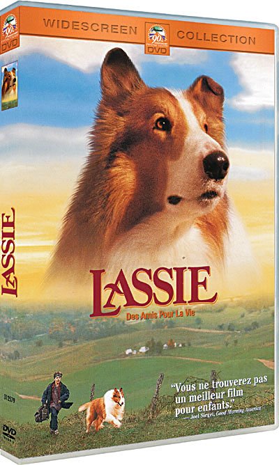 Cover for Studio Canal · Lassie - Des Amis Pour La Vie (DVD) (2010)