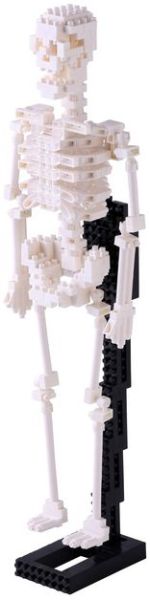 Cover for Nanoblock · Human Skeleton.NBM-014 (Book)