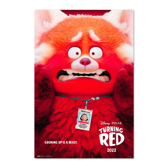 Cover for Pixar · Pixar Turning Red Poster (Toys)