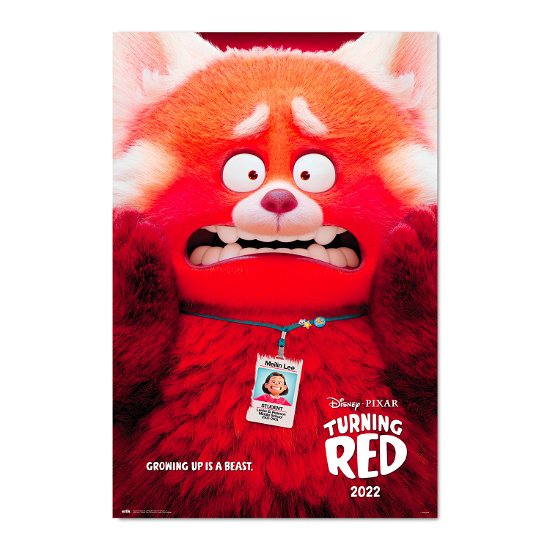 Turning Red - Poster 61x91cm - Pixar - Merchandise -  - 8435497276799 - 