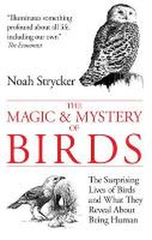 Cover for Noah Strycker · The Magic &amp; Mystery of Birds: The Surprising Lives of Birds and What They Reveal About Being Human (Hardcover Book) [Main edition] (2014)