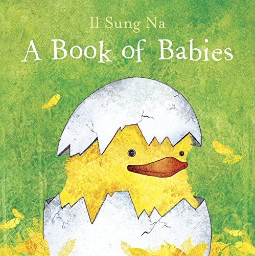 Cover for Il Sung Na · A Book of Babies (Board book) [Brdbk edition] (2015)