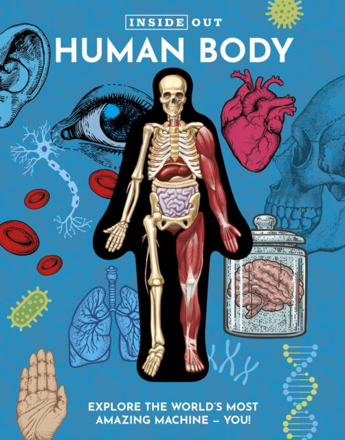 Luann Columbo · Inside Out Human Body: Explore the World's Most Amazing Machine - You! - Inside Out, Chartwell (Hardcover Book) (2024)