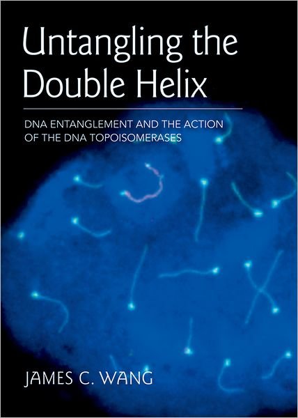 Cover for James C. Wang · Untangling the Double Helix: DNA Entanglement and the Action of the DNA Topoisomerases (Paperback Book) (2009)