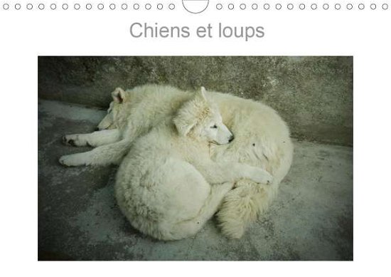 Chiens et loups (Calendrier mural - Terry - Bøger -  - 9781325541799 - 