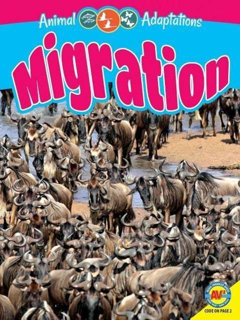 Cover for Megan Kopp · Migration (Hardcover Book) (2015)