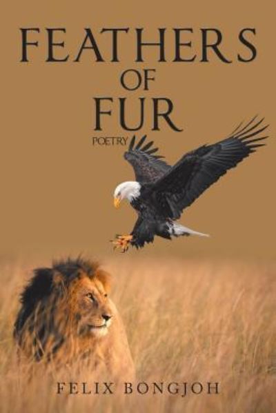 Feathers of Fur - Felix Bongjoh - Książki - Trafford Publishing - 9781490795799 - 26 czerwca 2019