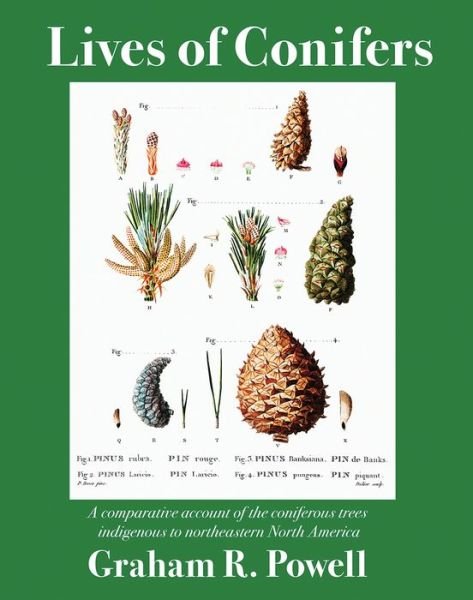 Lives of Conifers - Dr Graham Powell - Bücher - FITZHENRY & WHITESIDE - 9781554554799 - 1. August 2021
