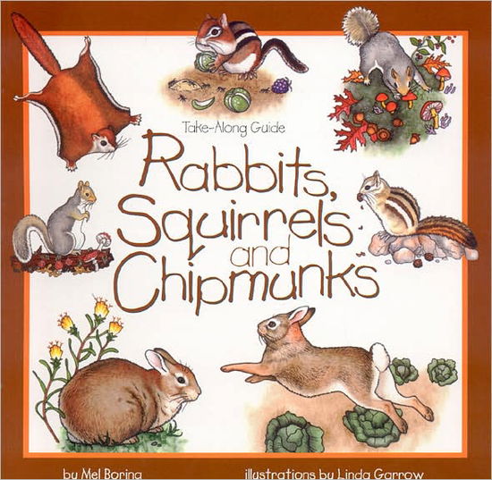 Cover for Mel Boring · Rabbits, Squirrels and Chipmunks - Take Along Guides (Paperback Book) (1996)