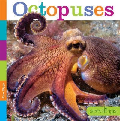 Cover for Kate Riggs · Octopuses (Hardcover Book) (2017)