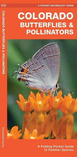 Cover for James Kavanagh · Colorado Butterflies &amp; Pollinators: A Folding Pocket Guide to Familiar Species - Wildlife and Nature Identification (Pamphlet) [2nd edition] (2020)