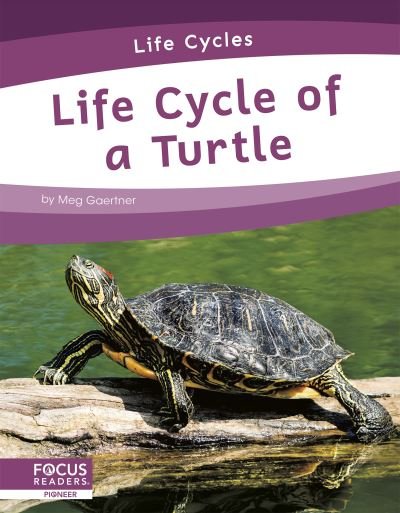 Cover for Meg Gaertner · Life Cycles: Life Cycle of a Turtle (Taschenbuch) (2021)