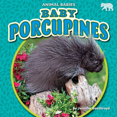 Cover for Jennifer Boothroyd · Baby Porcupines (Paperback Book) (2021)