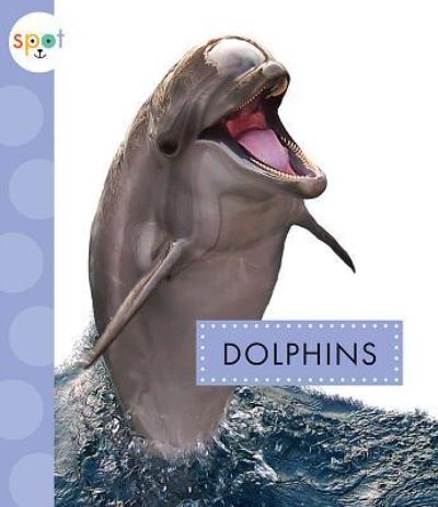 Cover for Mari C Schuh · Dolphins (Hardcover Book) (2018)